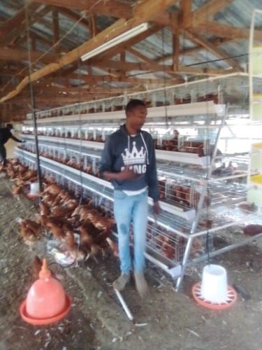 WhatsApp Image 2025 10 10 at 10.56.55 (2)