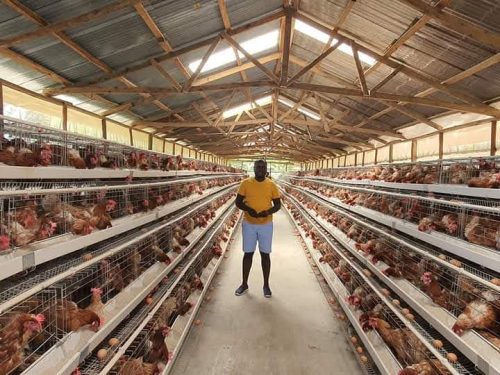 WhatsApp Image 2025 10 10 at 10.57.04 (1)