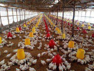 WhatsApp Image 2025 10 10 at 10.57.05 (1)