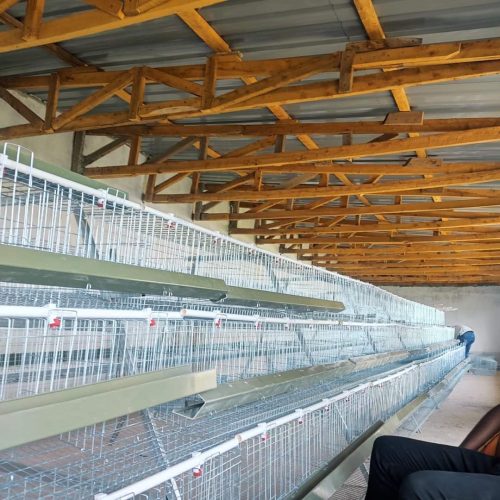 WhatsApp Image 2025 10 10 at 10.57.05